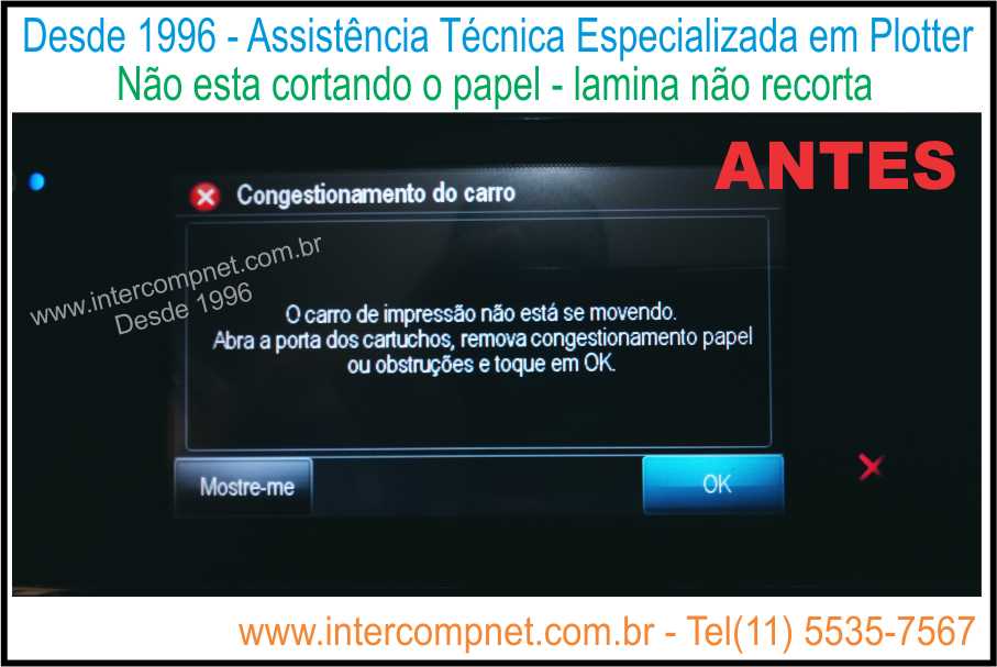 Assistencia_tecnica_manutencao_de_plotter_hp_designjet_T120_T130_T210_T230_T250_T520_T530_T650_T730_T830_em_sao_paulo_sp_31